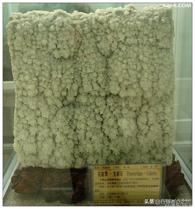 山东行游影记（31）—平邑天宇自然博物馆（六）