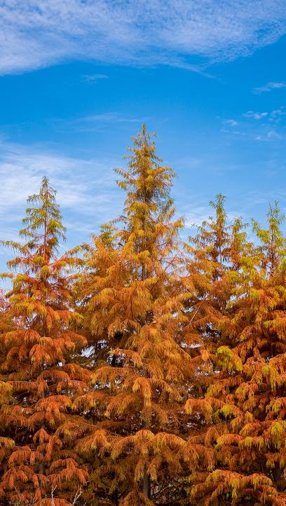从百年古刹到水上森林：解锁上方山秋冬宝藏打卡地