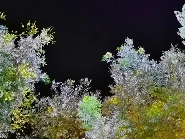 山东，有一座2000年前的一线城市，去青州古城赶一场槐花雨