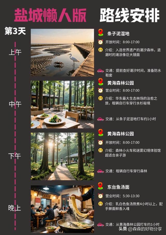 盐城3日漫游指南