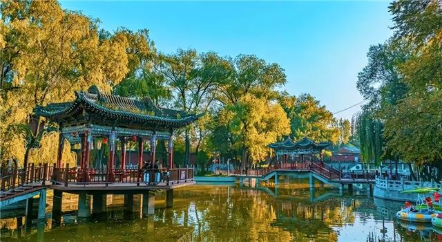 【线路产品】秋色如画！这5条临夏赏秋路线，美到不想回家！