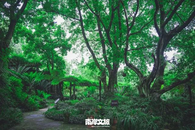 国庆“趣”南岸 ｜假期天天乐，南岸日日新！解锁南岸的N种耍法！