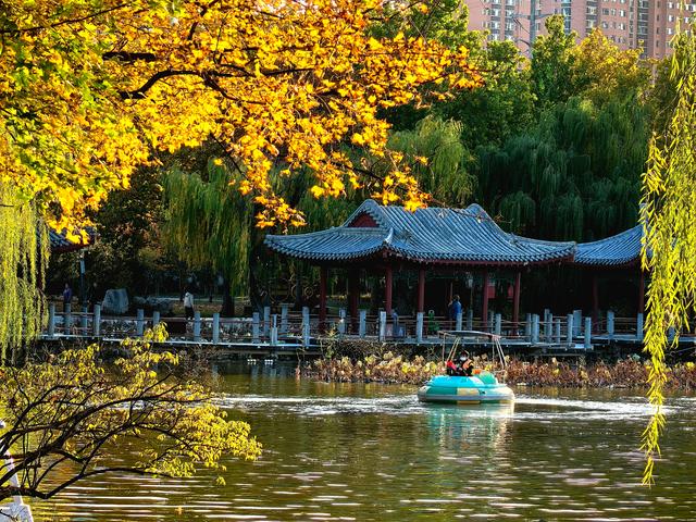 半烟火半诗意：潍坊园林的美，从不被定义