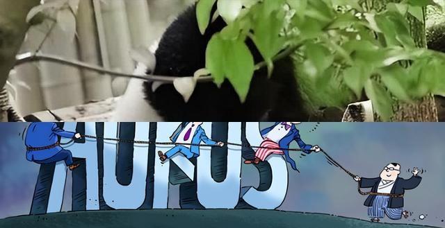 特朗普已做好开战准备？王毅警告：中美一旦冲突，结局只有一个！