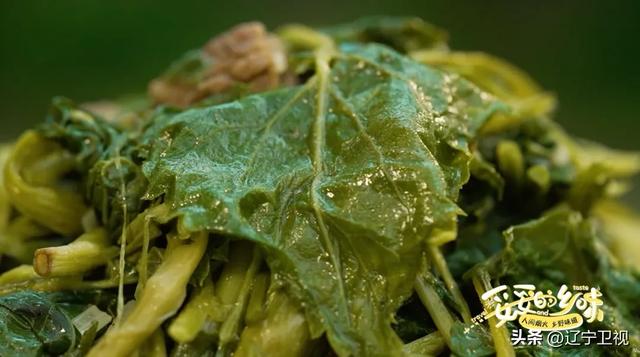 赏绝美山色，品山野风味！这座小城藏着辽东山水里最撩人的秋天！