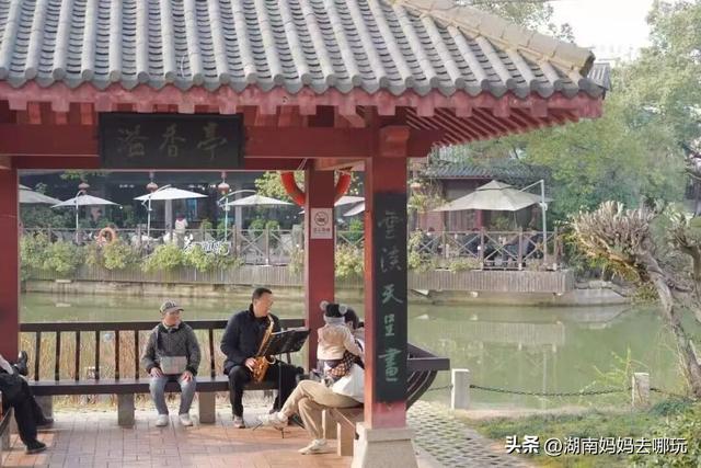 第一波樱花已盛放！带娃冲这里，市中心藏着粉色浪漫