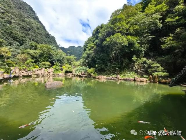 浙江小众绿宝石秘境！一个很多温州人都不知道的宝藏景区