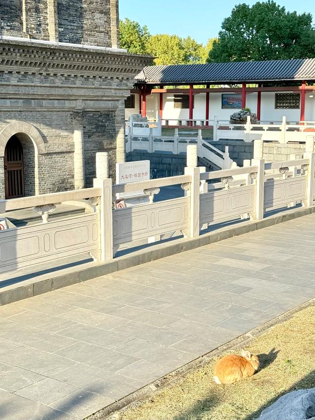 落日西堤（大运河系列·高邮市西堤运河公园）
