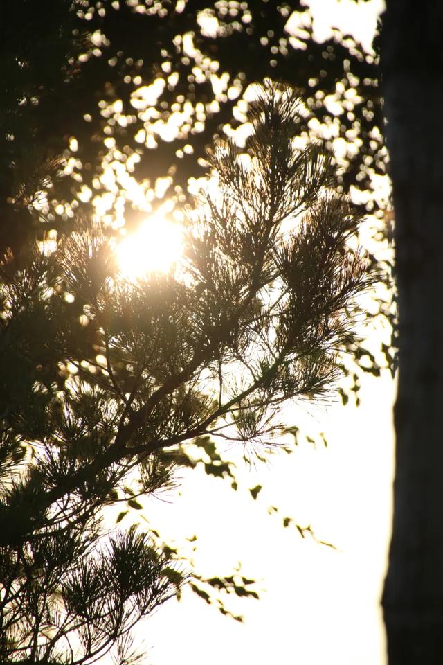 北疆文化 遇鉴赛罕 | 秋色漫卷赛罕:快将秋日打包,赶赴一场赛罕秋约!