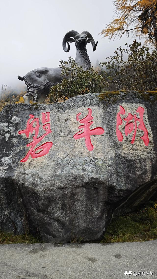 川西公共交通自由行，如何前往毕棚沟，吃住行游玩攻略，建议收藏