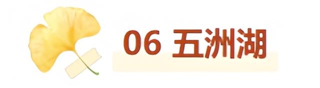最适合拍银杏的地方！ 临沂十个0元打卡点，抓住今年最后的金色风暴！