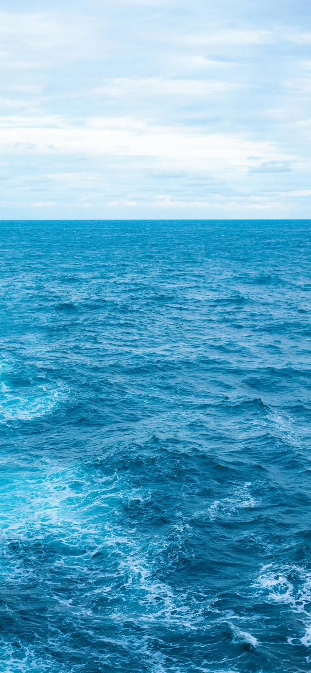 手机壁纸|海洋