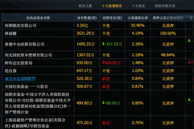 历史大底被买走！中东大佬扫货A股，阿布达比重仓买入这23股图片