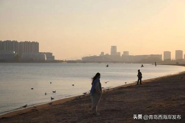 “鸥”耶！西海岸来了一批“老朋友”！