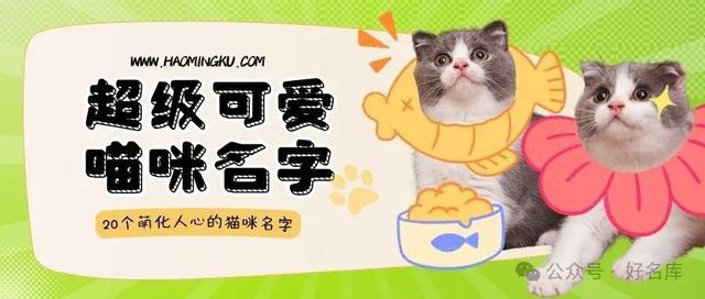 20个超可爱的猫咪名字，总有一个适合你的小主子！