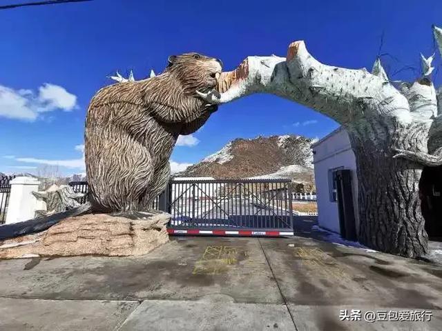 阿勒泰深度环游：喀纳斯禾木到可可托海秘境