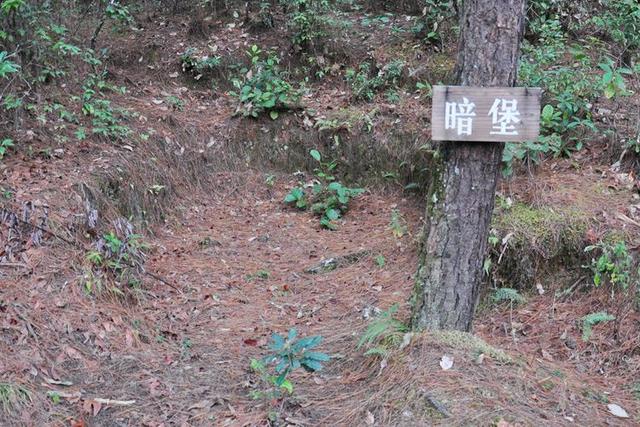 从北京自驾到云南 感受抗战之九：龙陵与松山
