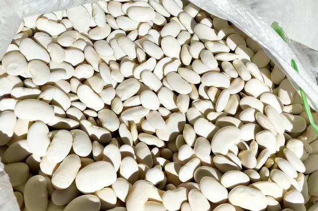 明天到狮溪，不止是“村晚”！还可以这样玩