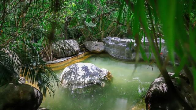 看滇超游保山 | 赴一场大地药方的邀约