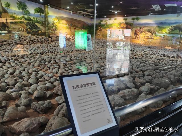 来河源才知道河源是中国恐龙之乡，挖掘出的恐龙蛋超级多