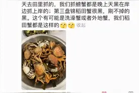 千万粉丝网红“东北雨姐”陷视频造假风波，本人回应：螃蟹是放到稻田里的，不为卖货是想宣传家乡图片