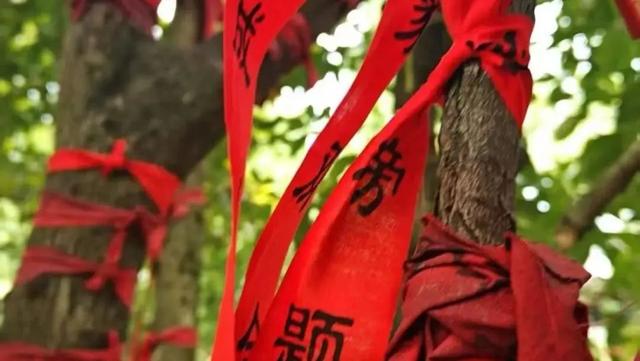 木兰告诉你：是时候表白了！