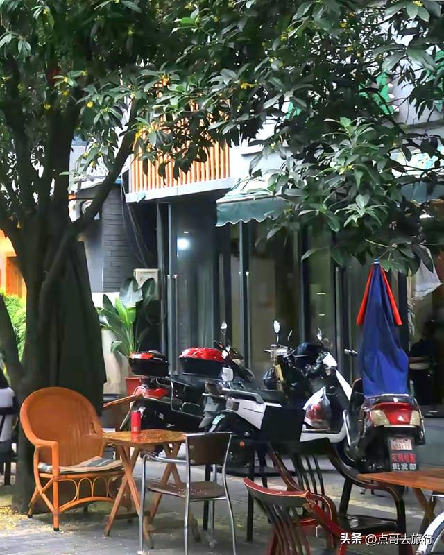 成都必去的五大桂花观赏地，开爆了，成都人私藏，地铁公交车直达