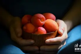 中国最被低估的水果，它排第二，没谁可排第一图片