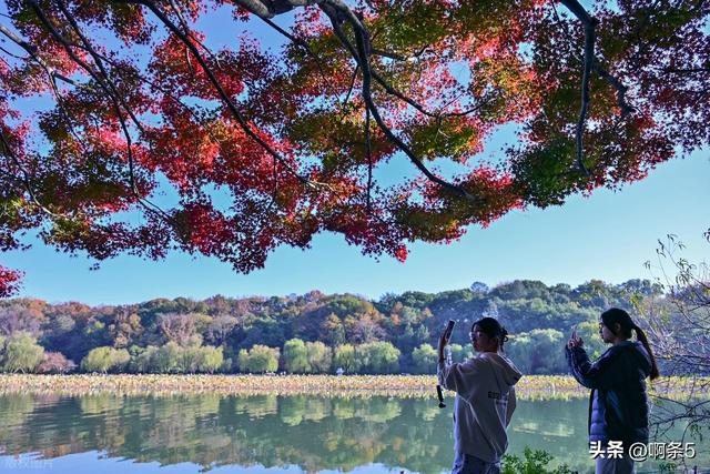 杭州西湖的景色还不错！