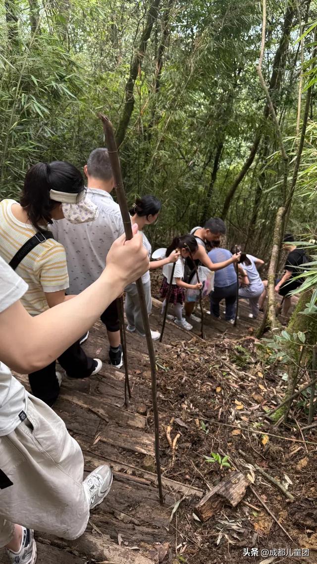 成都避暑好去处,森林、瀑布、溪谷,凉快一度是一度