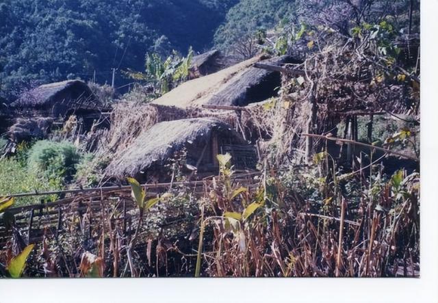 解放军在云南原始森林，发现一群男女，他们住草棚靠野果捕猎为生
