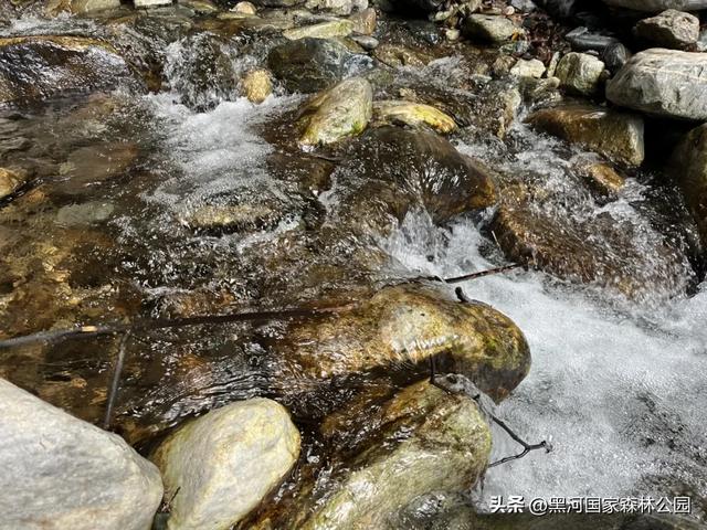 西安人的夏日消暑指南，黑河的清凉山水比空调更治愈→