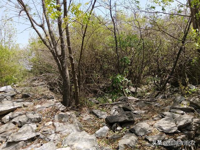 探访邓州修建在山顶的古严寨，发现内外两道城墙，大碾盘，楚兵营