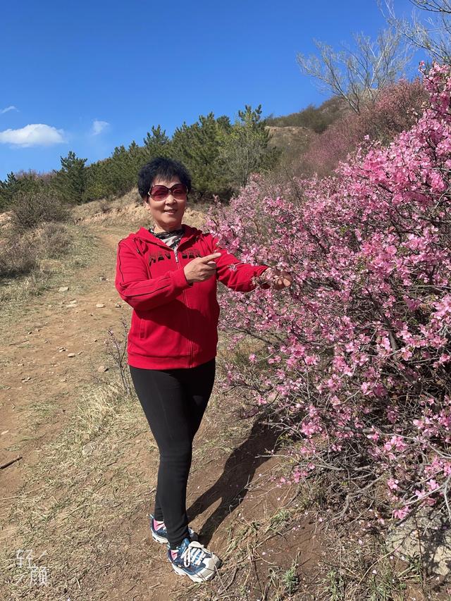 宣化红一师战友军嫂青边口长城赏花照片集