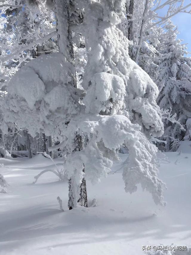 吉林老里克湖打卡攻略 | 走进现实版冰雪童话世界