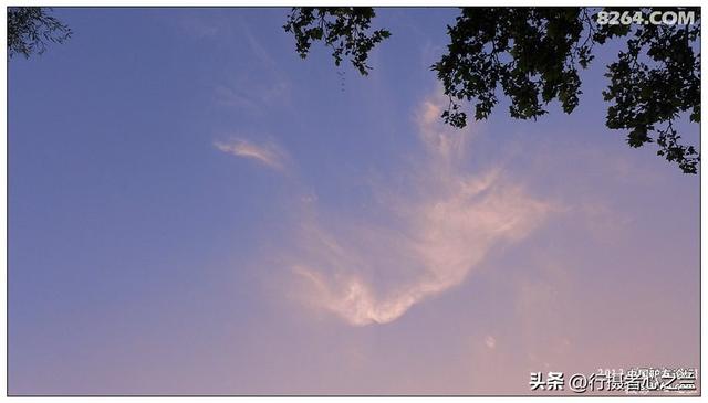 山东行游影记（13）—济南大明湖（二）