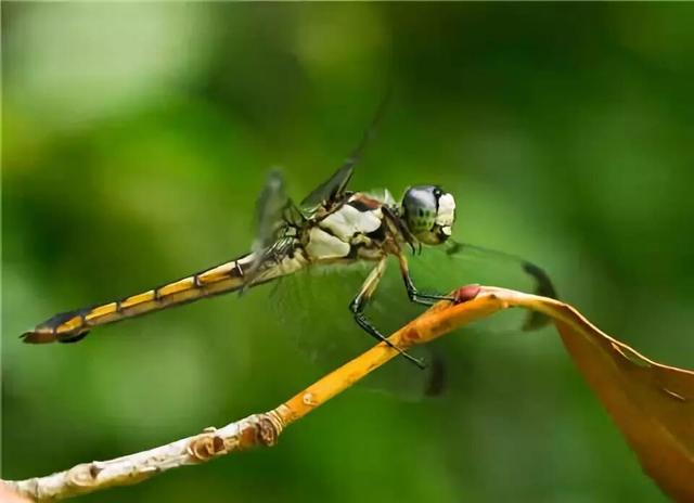 走过千山万水才懂：很多事，走着走着就释怀了