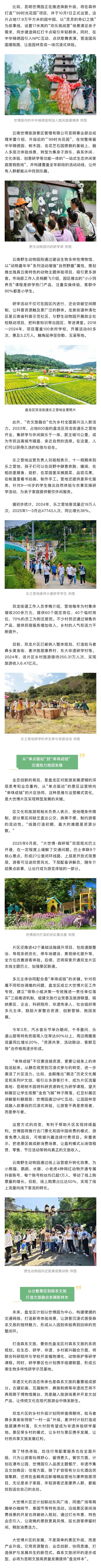 盘龙区文旅融合绘就森系新画卷 大世博片区发出文旅新名片