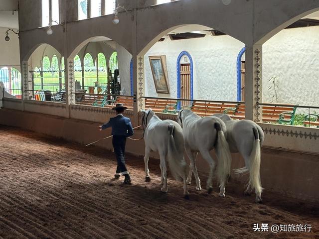 2025年环球知旅——海岛公主号邮轮(第九天)