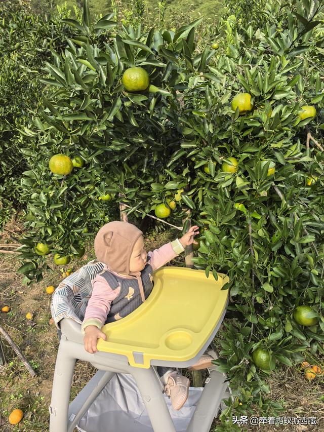 “小萌主”系列：我家10个月“小萌主”：浑身都是阳光味儿