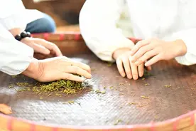 天天喝茶，你真的喝对了吗？说心里话，这2种茶最好“一滴不沾”图片
