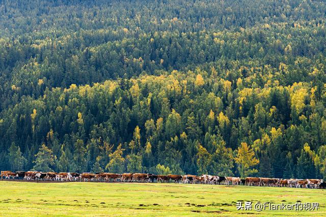 我的阿勒泰之旅(2)