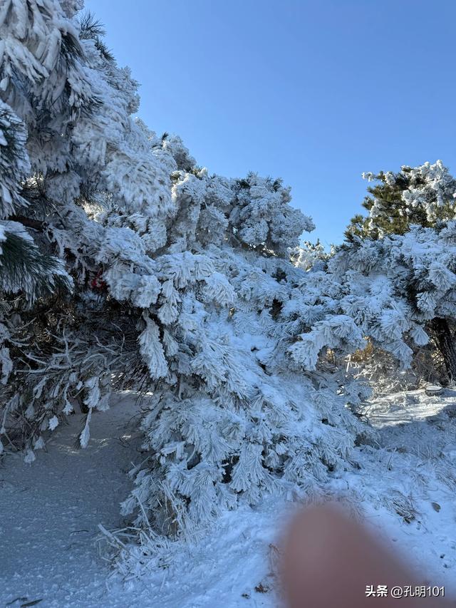 寒风瑟瑟雪世界～嵩山峻极峰赏雪记