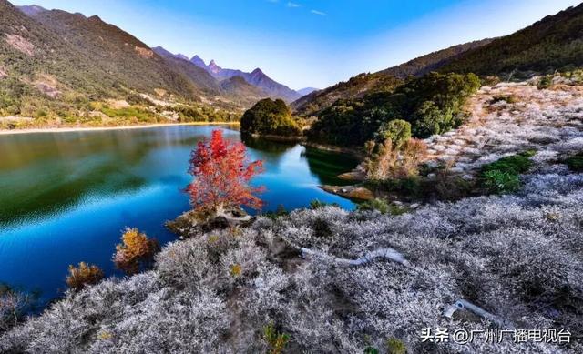 顶流“大湾鸡”陪你跨年！广州元旦打卡攻略，热门玩法大揭秘