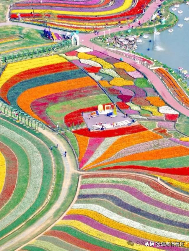 10月第5期(5天)点评