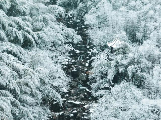 明月山惊现冰瀑雾凇，已经开始期待下雪了！