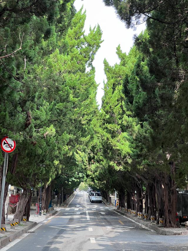 毗邻八大关，无敌海景、欧式建筑、葱郁柏树，这里一处宝藏景区。
