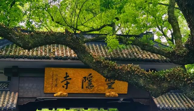 景区扔了8亿门票钱？这波“赔本买卖”藏着真套路