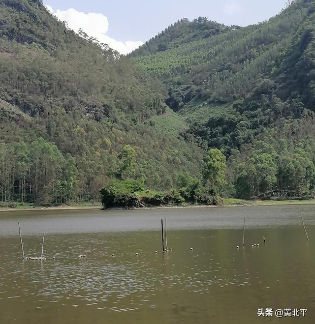 广西百色平果市与隆安县交界有座水库，中央有座孤岛很有意思
