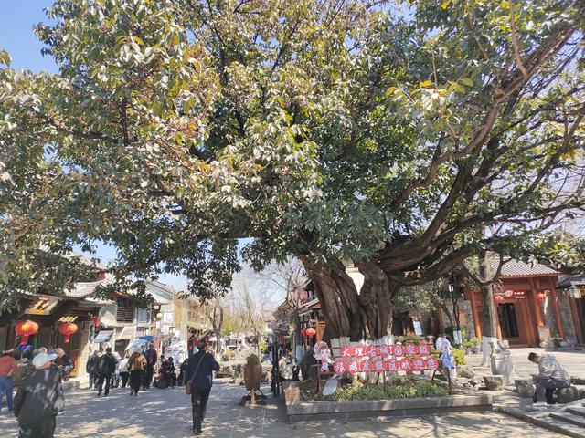 大理古城的复习课